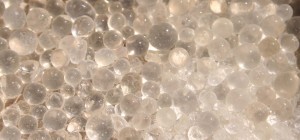 SilicaGel