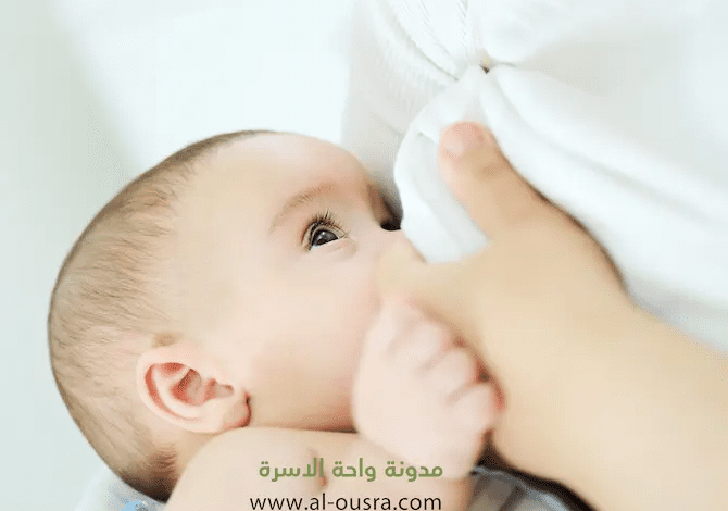 أسرع طريقة لإدرار الحليب | أكلات تدر الحليب ولا تزيد الوزن