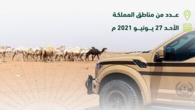 «قوات الأمن البيئي» توقف 64 مخالفاً لنظام البيئة لارتكابهم مخالفات رعي - أخبار السعودية