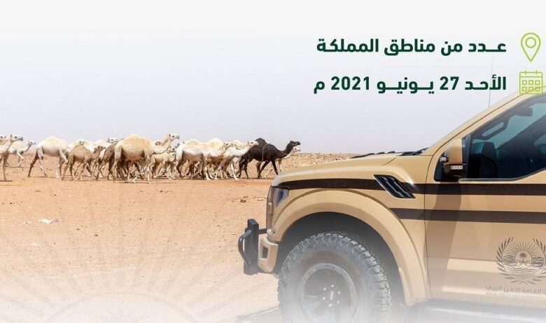 «قوات الأمن البيئي» توقف 64 مخالفاً لنظام البيئة لارتكابهم مخالفات رعي - أخبار السعودية