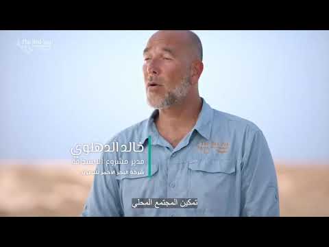 معايير جديدة للتنمية المستدامة بمشروع البحر الأحمر