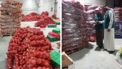 ضبط 8 أطنان بصل مخزنة في مستودع |صحيفة أشجان الإلكترونية