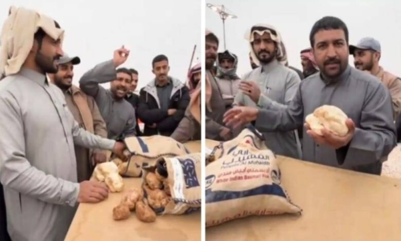 شاهد.. حراج على "الفقع" في طريف| صحيفة أشجان الالكترونية