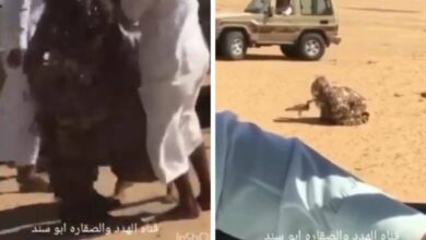 شخص يتحول لـ"شجرة" ويصطاد طائر الحباري| صحيفة أشجان الإلكترونية