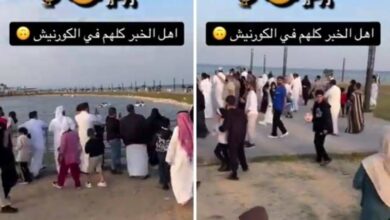 علاقة بطة بـ"قط" | صحيفة أشجان الإلكترونية