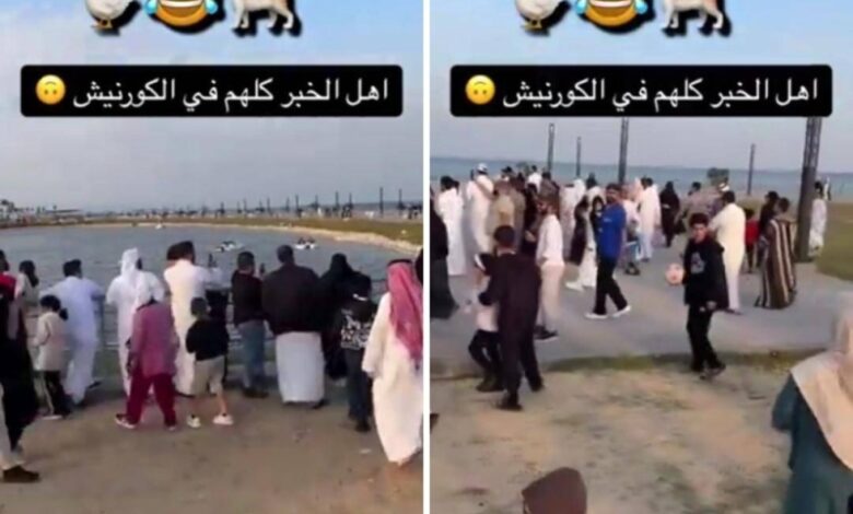 علاقة بطة بـ"قط" | صحيفة أشجان الإلكترونية