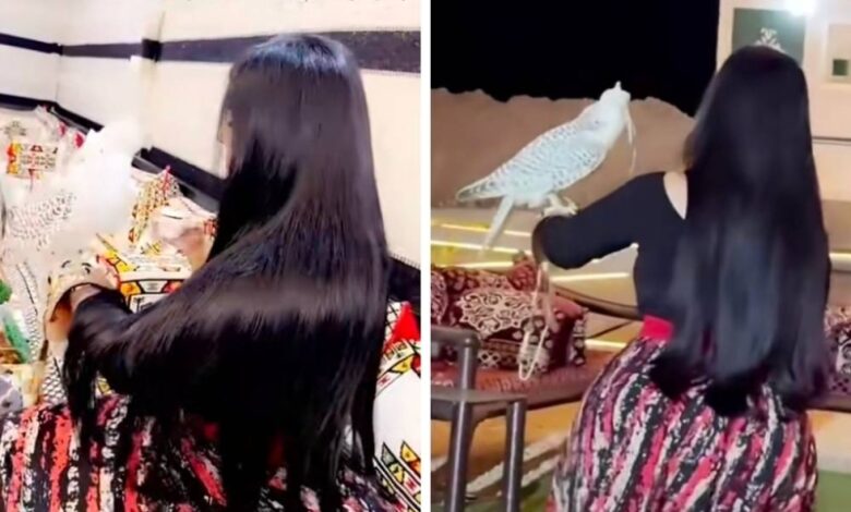 شاهد.. مواطنة تستعرض مهارتها في التعامل مع الصقر