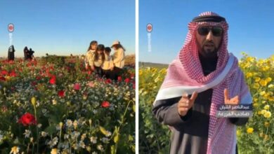 الصحراء إلى منتجع ريفي في القصيم| صحيفة أشجان الإلكترونية