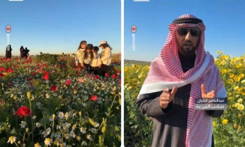 الصحراء إلى منتجع ريفي في القصيم| صحيفة أشجان الإلكترونية